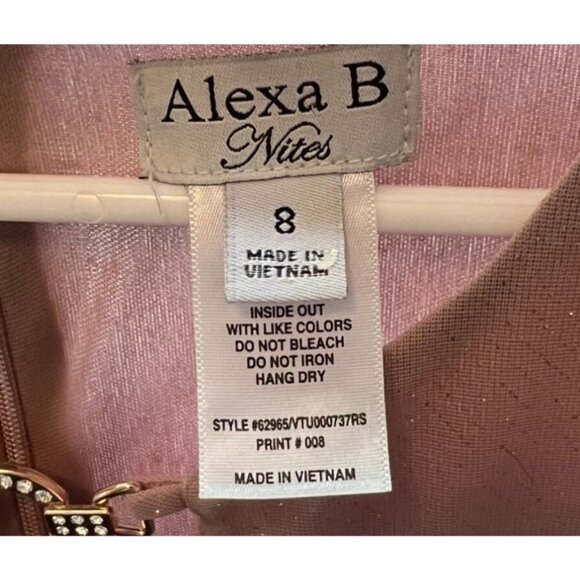 NEW ALEXA B NITES Blush Rose Womens Gown size 8 SHIMMER, JEWELED, CHIFFON Dress - Picture 7 of 11